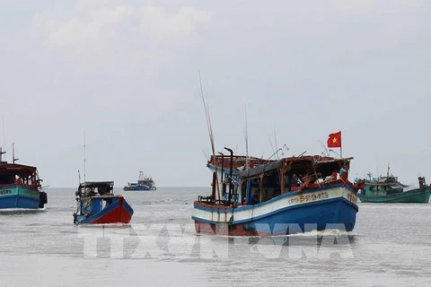 Comunidad pesquera vietnamita se esmera en combatir la pesca ilegal
