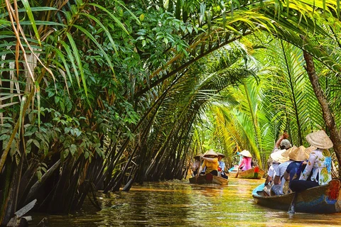 Buscan promover ventajas de agricultura y turismo rural del Delta del Mekong