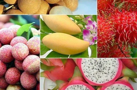 Vietnam ingresará más de cinco mil millones de USD por exportación de frutas para 2025