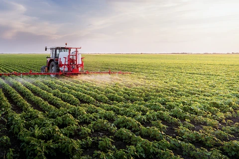 Delta del Mekong mejora competitividad de productos agrícolas