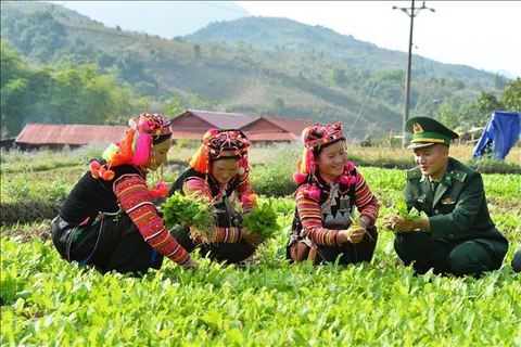 Mejoran vida de hogares pobres en zonas de minorías étnicas en Vietnam