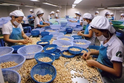 Productos agrícolas vietnamitas mejoran participación en cadena de suministro global