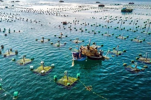 Vietnam promueve acuicultura marina por desarrollo sostenible