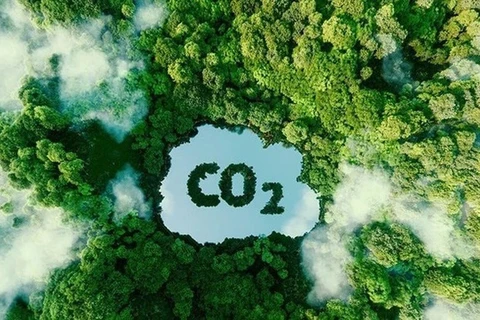 Vietnam vende por primera vez créditos de carbono forestal por valor de 51,5 millones de dólares