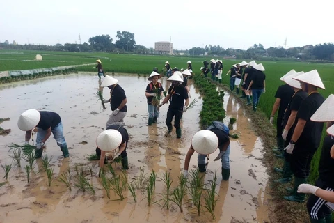 Hanoi impulsa tours experienciales a sitios históricos y aldeas artesanales