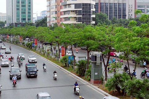 Plantarán en Vietnam mil millones de árboles en etapa 2021- 2025