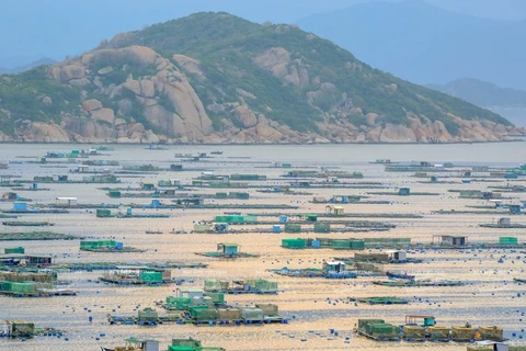 Binh Ba - "Isla de la langosta" en la bahía de Cam Ranh