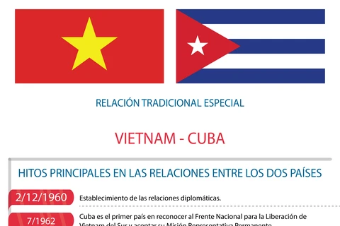 Relaciones tradicionales especiales Vietnam- Cuba