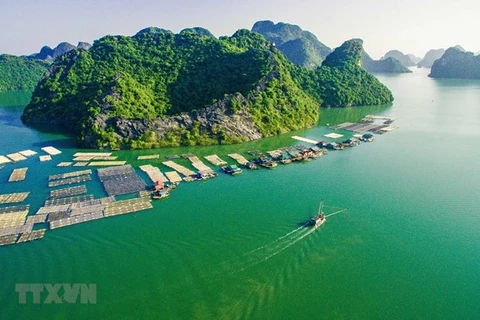 Cat Ba de Vietnam entre parques nacionales en el mundo que deben visitar