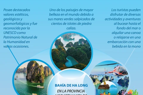 Bahía de Ha Long y túneles de Cu Chi entre los destinos más atractivos en Sudeste Asiático