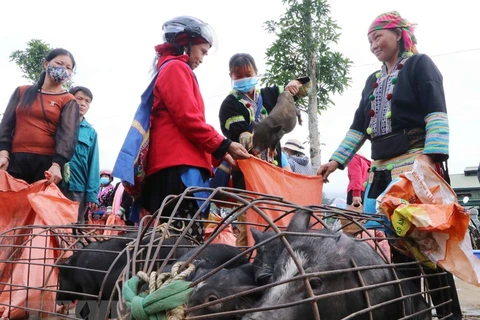 Único mercado de cerdos en la provincia norvietnamita de Lai Chau