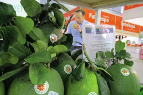 Pomelos frescos vietnamitas ingresarán oficialmente a Estados Unidos 