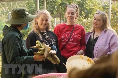 Turismo de naturaleza multiplica atractivos de centro de conservación de osos en Vietnam