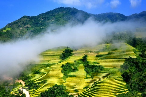 Sitios vietnamitas figuran entre destinos ideales en otoño en Asia