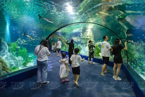 Mundo oceánico realista en el Acuario Lotte World Hanoi