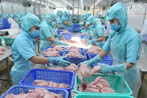 Exportaciones de productos acuáticos de Vietnam superarán los ocho mil millones de dólares en 2021
