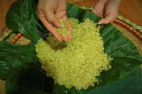 Visitan aldea de elaboración de arroz verde glutinoso más antigua en Hanoi