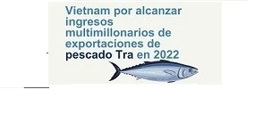 Vietnam por alcanzar ingresos multimillonarios de exportaciones de pescado Tra en 2022
