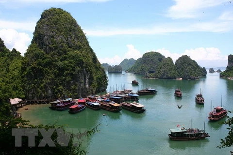 Bahía y túneles vietnamitas entre lugares de turismo de aventura en el Sudeste Asiático