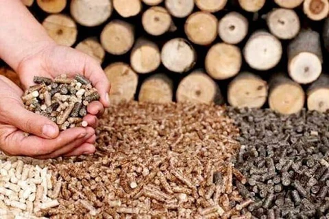 Exportaciones vietnamitas de productos de desecho forestal podrían recaudar fondo multimillonario 