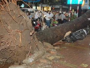 Aumentan muertos por tormenta Kai Tak en Vietnam 