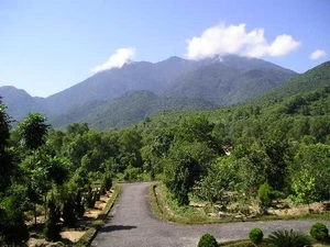 El Parque Nacional de Bach Ma (Caballo Blanco).