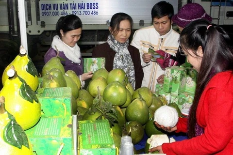 Perspectivas comerciales en feria agrícola en Vietnam 
