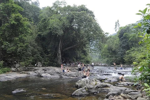 La Reserva de Naturaleza Khe Ro, An Lac y Son Dong en la provincia de Bac Giang. (Fuente: VNA)