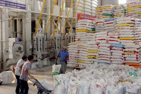 Plantea Bac Lieu 447 millones de dólares por exportaciones agrícolas 