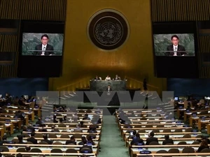 La novena Conferencia de Revisión de las Partes del Tratado de No Proliferación de Armas Nucleares, en Nueva York. (Fuente: VNA)