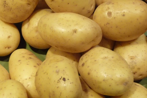 Vietnam: Marché potentiel pour les pommes de terre néo-zélandaises 