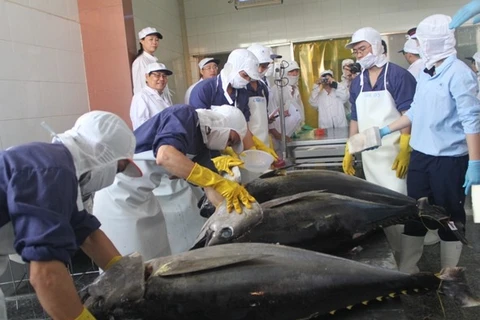 Le Vietnam va mieux gérer la pêche du thon 