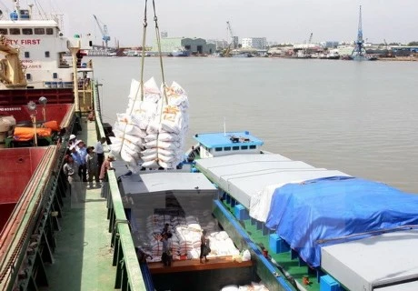 Le Vietnam exportera 450.000 tonnes de riz aux Philippines