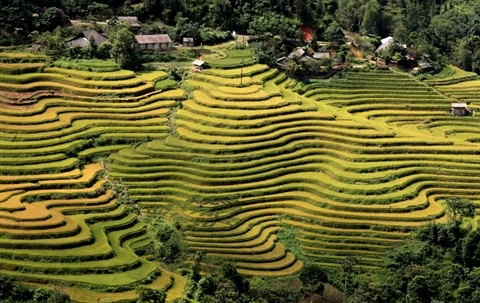 Ouverture de la Semaine culturelle et touristique des rizières en terrasses de Hoàng Su Phi 