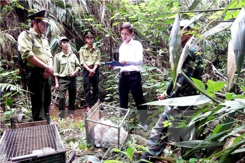 Quang Binh : un trafic d'animaux sauvages démantelé