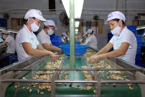 Vietnam et Inde stimulent leur coopération agricole