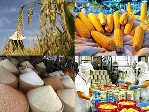 Le Vietnam promeut ses exportations de produits agricoles vers Singapour