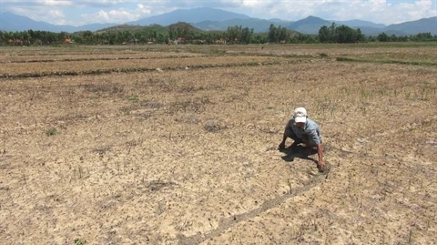 Sécheresse redoutée dans le Nord et le Tây Nguyên en raison d’El Niño