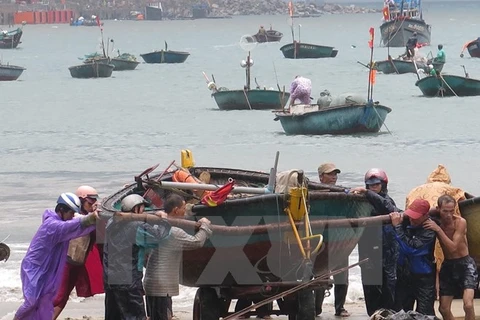 La Journée internationale de la prévention des catastrophes naturelles célébrée à Hanoi