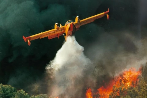 L'Indonésie verse des millions de dollars pour résoudre les incendies forestiers