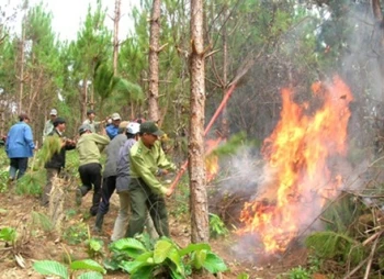 Aide pour la lutte contre les incendies de forêt 