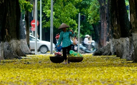 En automne, Hanoi dévoile son charme