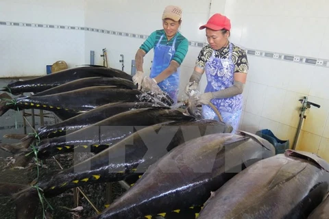 Pêche au thon : don du Japon pour Binh Dinh