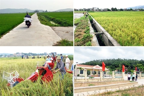 La région rurale de Quang Ninh fait peau neuve