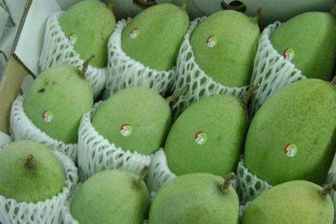 Les mangues vietnamiennes appréciées au Japon 