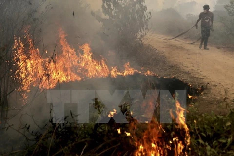 Incendies en Indonésie : le nombre de « points chauds » a diminué