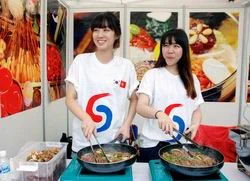 Prochain festival de la culture et de la gastronomie Vietnam-République de Corée 2015 