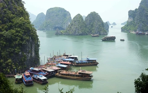 Des solutions contre la «surcharge» en haute saison de la baie de Ha Long