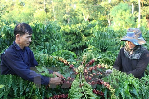 Agriculture lato sensu : excédent commercial de 7 milliards de dollars