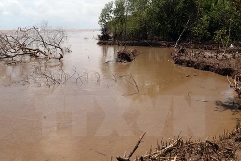 Vietnam : vers un plan d’action concret pour la résilience au changement climatique